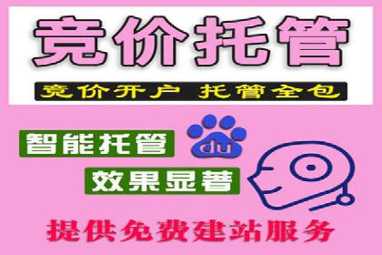 sem竞价推广托管成功案例：助力企业实现业绩增长